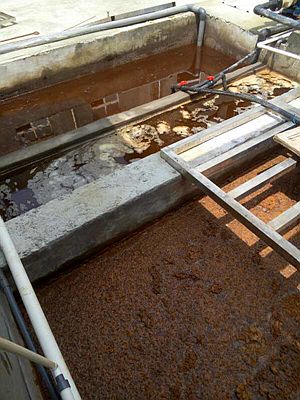 長(zhǎng)沙湘麓環(huán)?？萍加邢薰?長(zhǎng)沙湘麓臭氧機(jī),長(zhǎng)沙食品廠臭氧消毒機(jī),長(zhǎng)沙臭氧發(fā)生器,污水處理臭氧設(shè)備